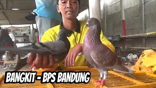 Road To Winner BANGKIT BPS
