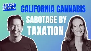 Performative Legalization: The Real Story Behind CA&rsquo;s Cannabis Collapse