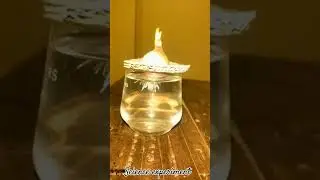 Science experiment #microscope #science #onion  subscribe to my channel