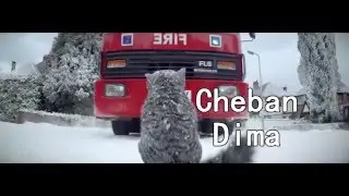 Mog&rsquo;s Christmas Calamity / Мог Рождественское бедствие (2015) Рус.Трейлер