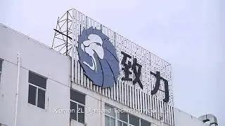 ZL DIAMOND TECHNOLOGY CO.,LTD.