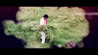 Gaddi thintava Rgv new movie song power star