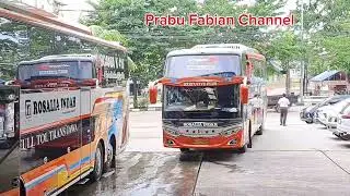 Buka Rute Baru Baru ??..Semakin Panas Lintas Sumatera... Paten Penumpang Bus Rosalia Indah 