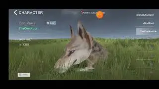How to get wings and color them in Wolf Online 2