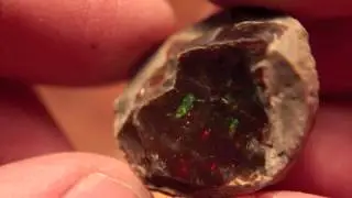 48ct Beautiful Shewa Ethiopia Opal Rough Specimen