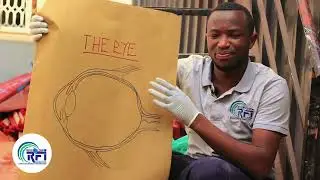 The Human Eye Model