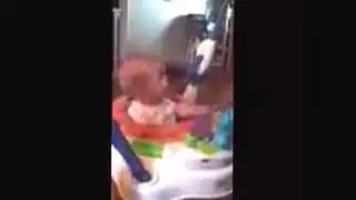 Hawk laughing