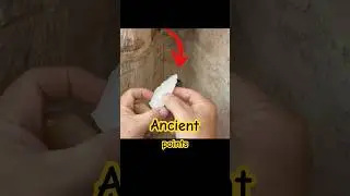 Ancient Discovery!! I found the jackpot! #explore #ancienthistory #history #discovery #nature
