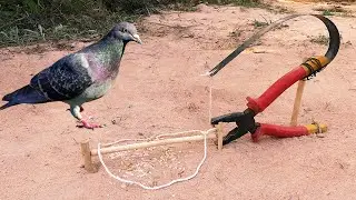 Creative Easy DIY Simple Bird Trap Using Hand Saw & Pliers