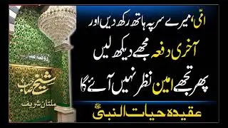 امّی، میرے سر پہ ہاتھ رکھ دیں اور آخری دفعہ مجھے دیکھ لیں پھر تجھے امین نظر نہیں آئے گا