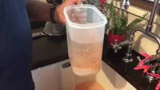 Saving tomato seed
