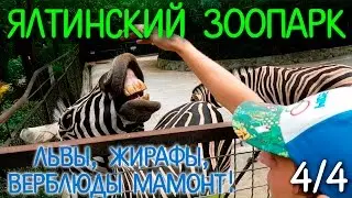 Нереальный ялтинский зоопарк! Я погладил ЛЬВА! 4/4