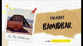 Marching Through the Wilderness | Parashat Bamidbar