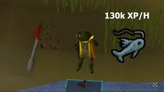 Intro to EHP - 2 tick fishing