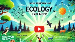 Ecology: The Basics