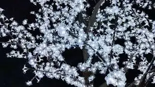 Outdoor Cherry blossom led light tree 8 Colors for Option. 8.2ft\ 2.5m 2484leds