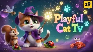 Playful Cat TV &ndash; Cat Games That Keep Lazy Cats Moving and Engaged
