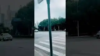 Шанхай  сент 23