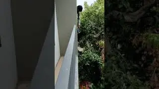 Balcony Safety Net / Anty Bird Net / Pigeon Control / Bird Safety Net / MonkyNet /Call Now8490010564