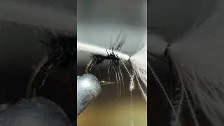Essential Black Ant - Full tutorial on my channel #flyfishing #flytying #fishing #fish
