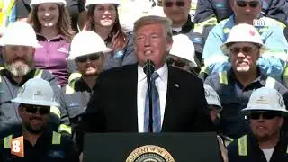 Trump: Democrats Like Wind Energy Even Though 'It Kills All the Birds.'