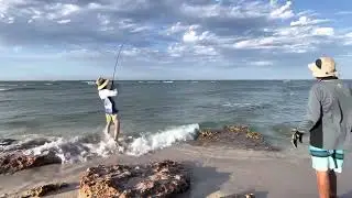 Shore based Spangled Emperor
