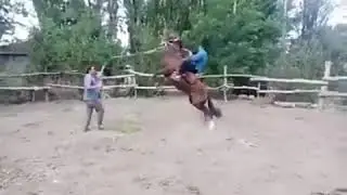 Spirit, nunca me rendire. En la vida real😆🤣
