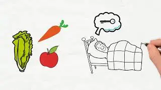Как использовать ключевые привычки, чтобы стать лучшим лидером