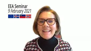 Webinar on the European Economic Area - 9 February 2021