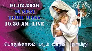 SUNDAY MASS: 01.02.2026 - 10.30 AM - LIVE - HOLY FAMILY SHRINE NAZARETH NAGAR - CHENNAI - 600110