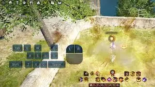 BDO Reboot Hashashin Awakening PVE Combo 2覺醒哈薩辛pve連段第二套