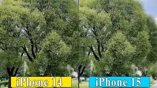 iPhone 14 vs. iPhone 15 -  Camera Comparison (Daylight, Stabilization, Night mode)