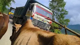 ROAD MEIN GADI NE PARESHAN KAR DIYA😲
