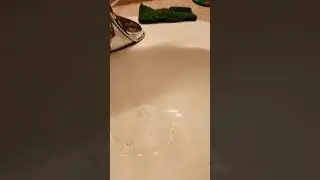 #cleaning#sink#clogged#household#spraynine#shorts