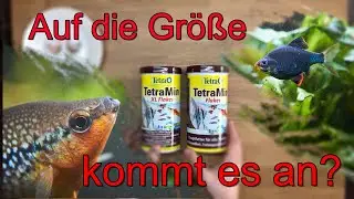 Tetramin Flakes (XL) - schmeckts?