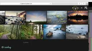 Sharing synced collections in Lightroom Classic