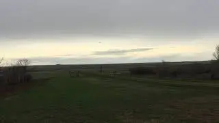 1/4 RC Coroplast Cub