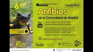 Webinario: Anfibios de la Comunidad de Madrid