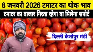8 Jan 2026 🍅Tomato Wholesale Price | Today Tomato Price keshopur mandi | Tomato Price #tomato #ta...