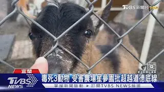 不滿員工跳槽 張美阿嬤兒空投毒死對手動物｜TVBS新聞 @TVBSNEWS01