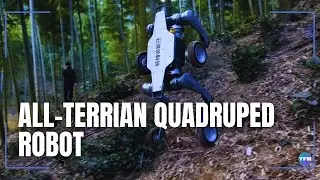 All-terrain quadruped robot