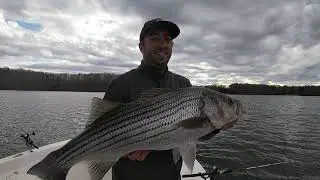Lake Lanier Winter Striper Fishing - Lake Lanier Fishing Guide Jeff Blair