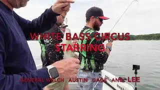 White Bass Lake Shelbyville