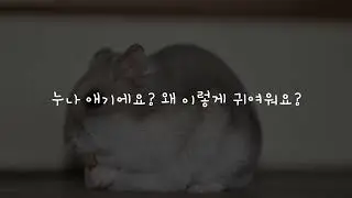 [남자asmr] 여자친구를 귀엽다며 애기 취급하는 연하 남자친구asmr (boyfriend asmr)