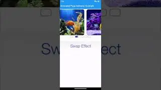 Flutter Animated Page Indicator