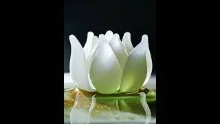 AI ASMR | Blooming Glass  Lotus - Relaxing and Satisfying Whispers For Tingles | #kozmikpanspermik