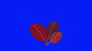 Flower animation 4k, flower video, overlay, animation flower, #flowers #greenscreen #overlay