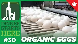 Inside An Organic Egg Farm - Farm 30 - Dinner Starts Here