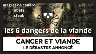☠️ Fer h&eacute;minique et cancer du c&ocirc;lon. Les produits animaux provoquent-ils le cancer ? ☠️