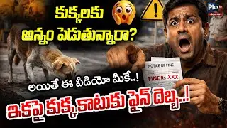 &ldquo;Feeding Stray Dogs Now Dog Bites Will Result in Fines!&rdquo;|Supreme Court Order On Feeding Dogs|Plus Tv